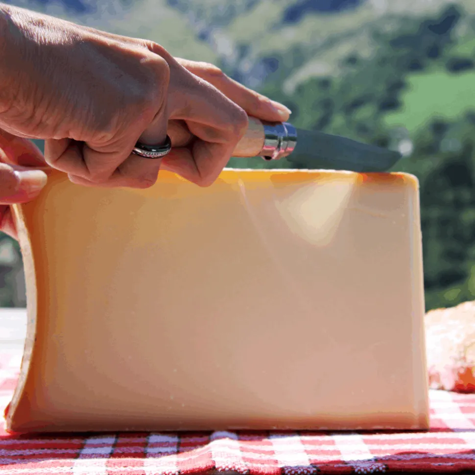 Beaufort PDO +/- 3.5kg