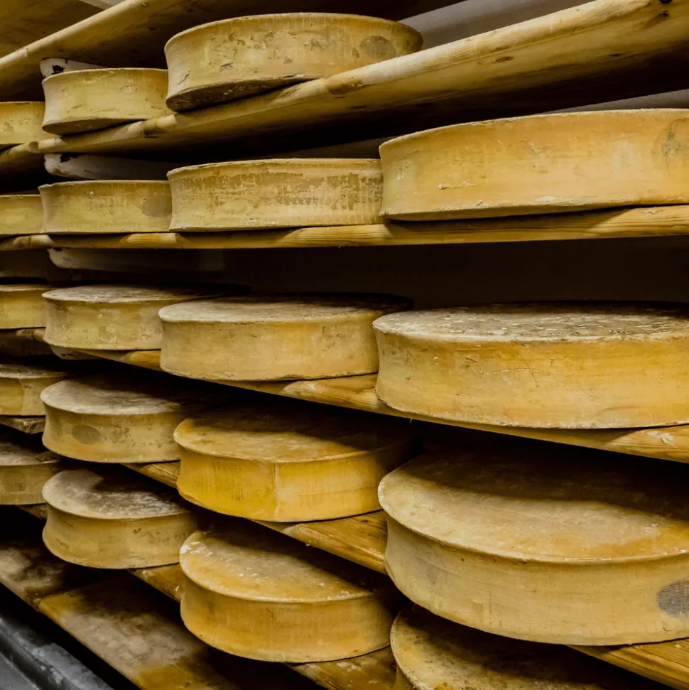 Beaufort PDO +/- 3.5kg