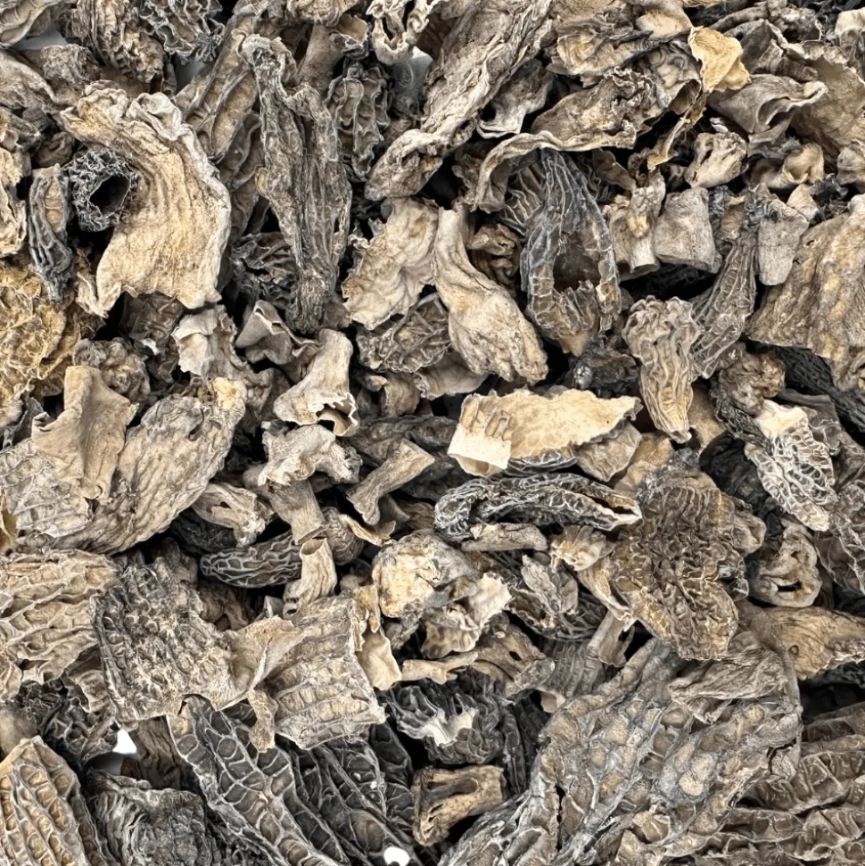 Dried Morel Mushroom 50g