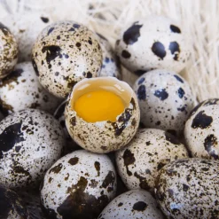Fresh Quail Eggs x 18