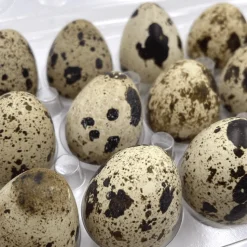 Fresh Quail Eggs x 18