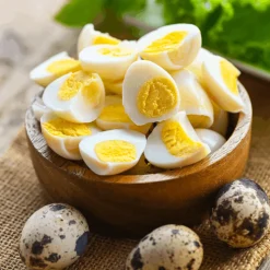 Fresh Quail Eggs x 18