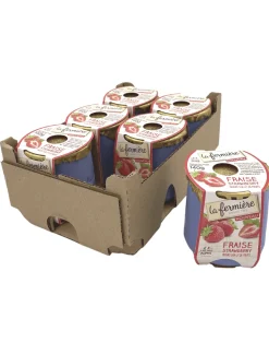 La Fermiere Strawberry Yogurt 140g x 6 BEST BEFORE 20/04/25