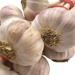 Pink Lautrec Garlic String 500g COMING SUMMER 2025