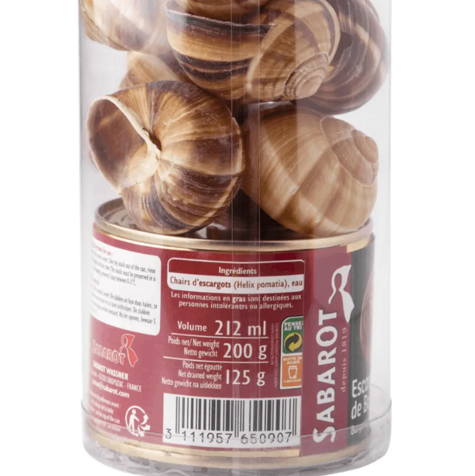 Sabarot Burgundy Set Snails and Shells 2dz