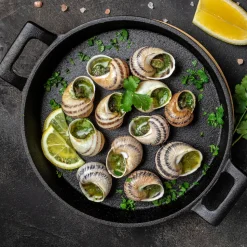 Sabarot Burgundy Snails 2dz