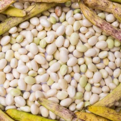 Sabarot Dried Coco Beans 1kg