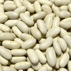 Sabarot Dried Mogettes from Vendee 500g