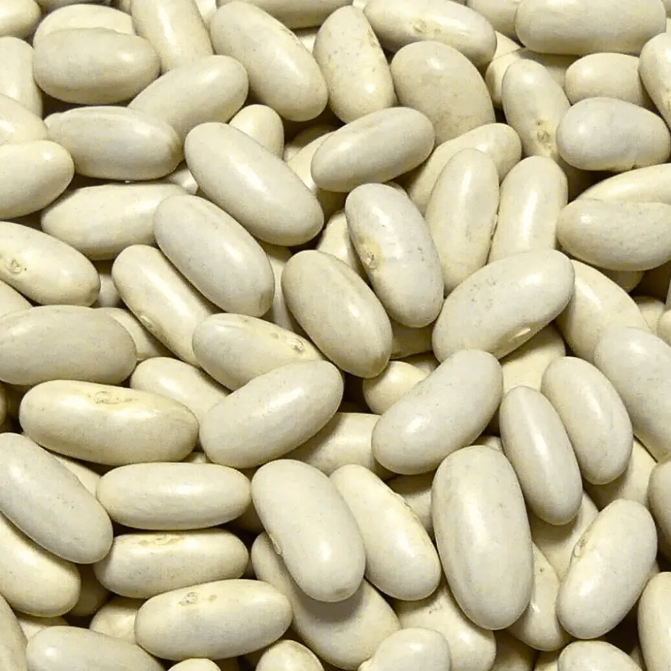 Sabarot Dried Mogettes from Vendee 500g