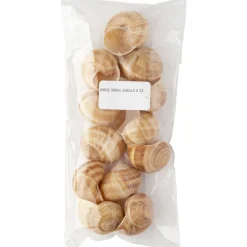 Sabarot Helix Large Snail Shells x 12