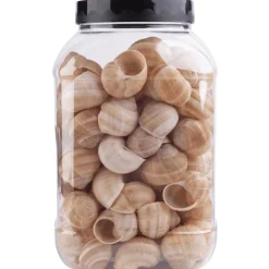 Sabarot Helix Snail Shells x 96