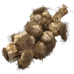 Smoked Arleux Garlic Braid 1kg COMING SUMMER 2025