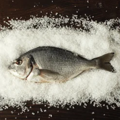 Tradysel Guerande Fleur de Sel 5kg bag