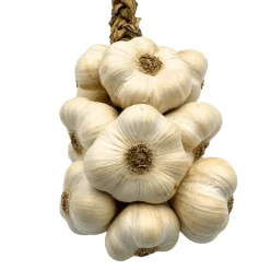 White Garlic Braid 1kg COMING SUMMER 2025