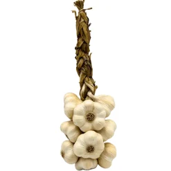 White Garlic Braid 1kg COMING SUMMER 2025